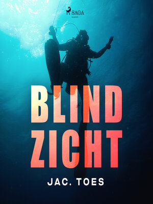 cover image of Blind zicht